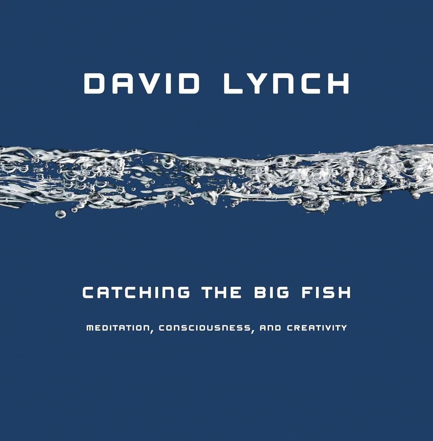 Catching the Big Fish: Meditation, Consciousness, and Creativity Hardcover  December 28, 2006