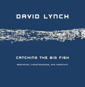 Catching the Big Fish: Meditation, Consciousness, and Creativity Hardcover  December 28, 2006