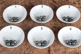 Loose Tahitian Pearl Sets, Pick your Pearls! (LP032)