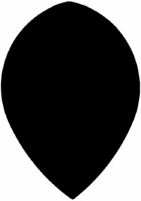 US Darts 5 Sets (15 Flights) Black Pear Flights - 75 Micron